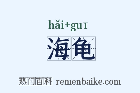 海龟是什么意思的图片